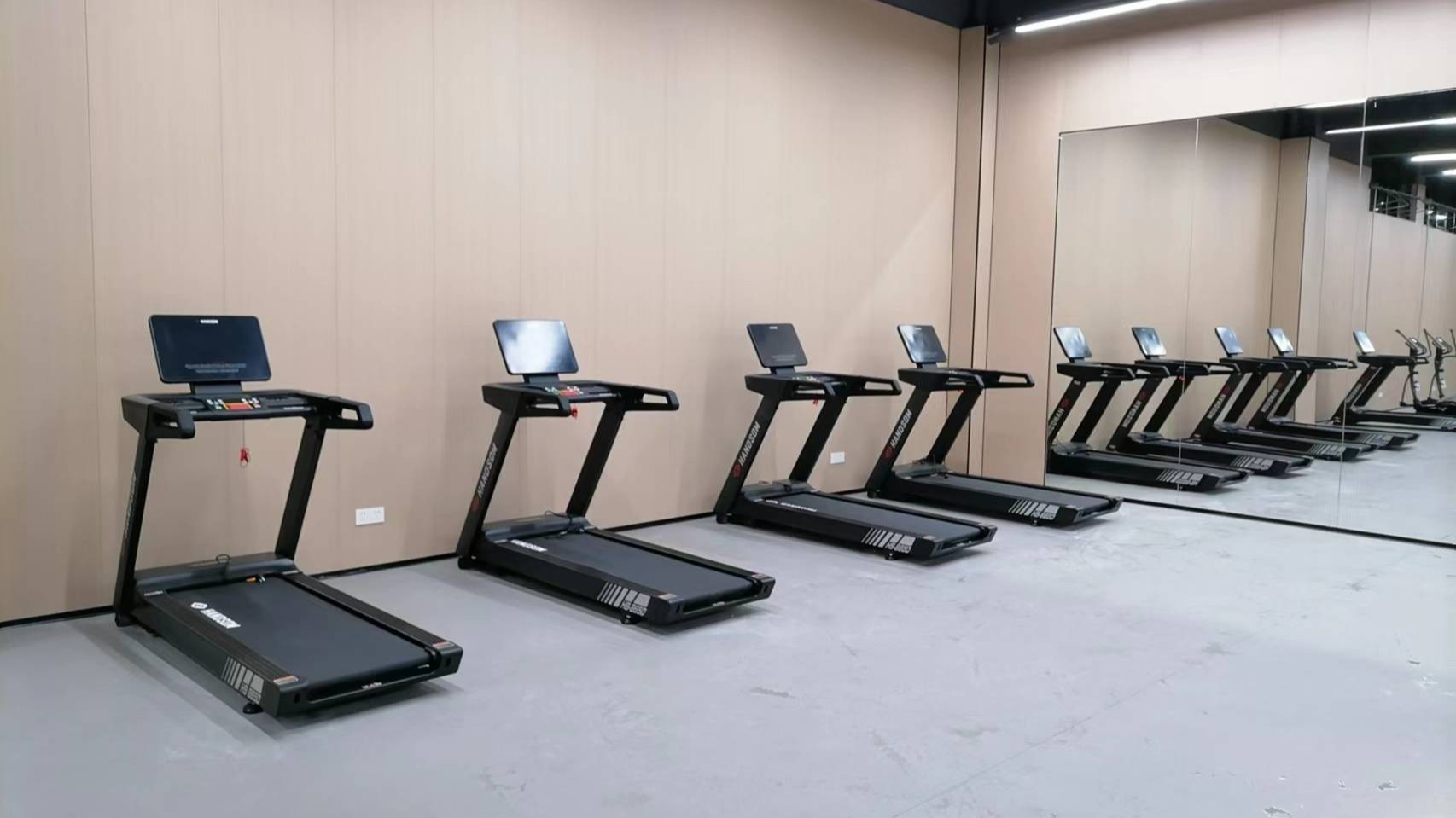 2025年室內(nèi)健身器材發(fā)展現(xiàn)狀