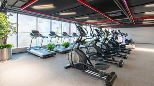 健身器材名稱及圖片基礎(chǔ)的都有哪些！悍德森來為您解答!