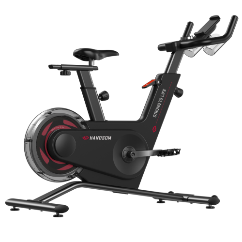 悍德森HS-5450 動(dòng)感單車