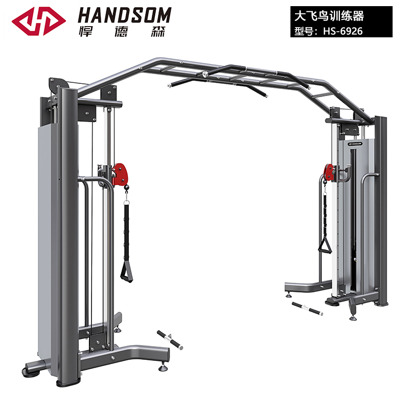 悍德森HS-6926 大飛鳥訓(xùn)練器