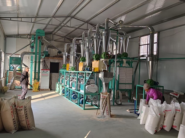 如何選擇合適的50噸面粉加工設(shè)備？鑫峰面粉機(jī)械小編告訴您